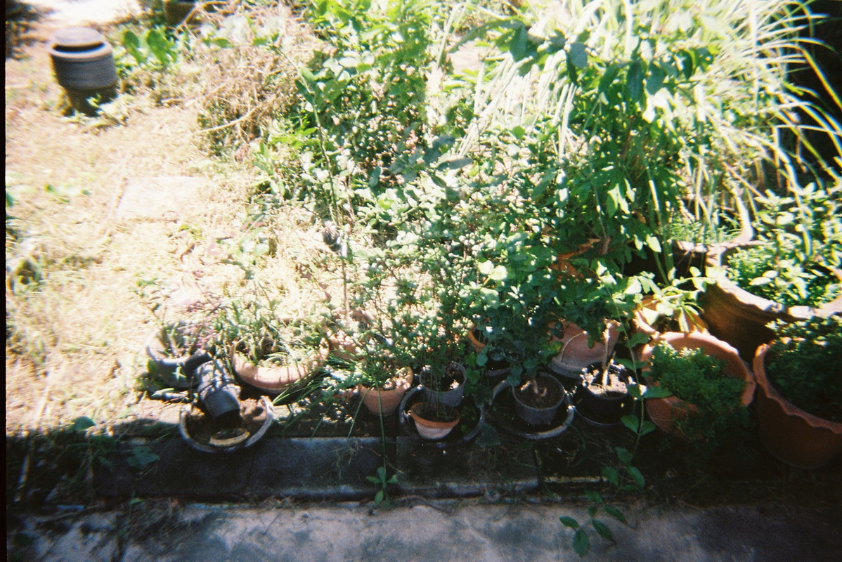 Kodak2-48-resize
