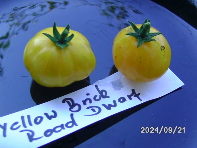 [Bild: BILD0421.jpg]