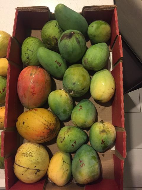 2EF3335F-9992-4A76-AF42-D2071B70614F