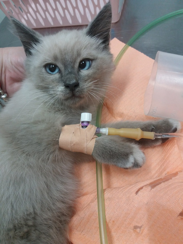 63D3B7B3-9654-4F70-A8CF-6F61A04349DC