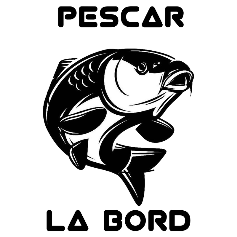 PESCAR LA BORD negru 15X15
