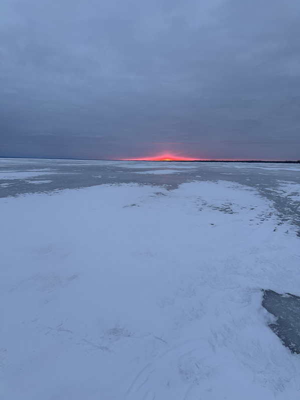 IMG_2650