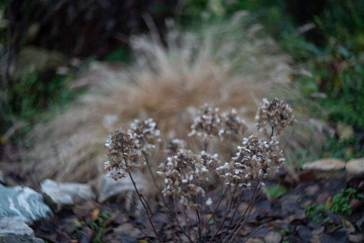 IMG-3c4e2fffc5d54bd45b7fa4a5a65d6cb1-V