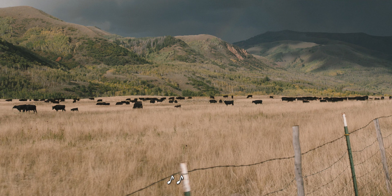 Download Yellowstone S01E01 (2018) [PMT  4K UHD SDR HEVC OPUS 5.1] HR ...