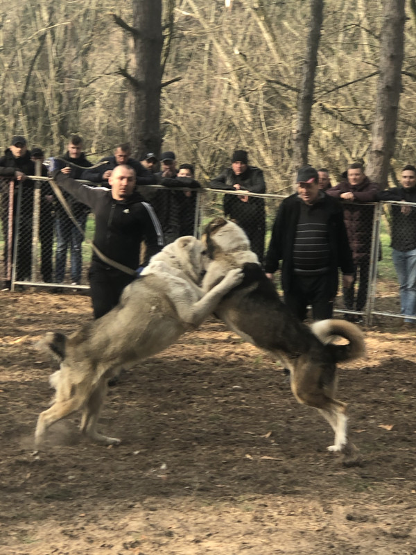 DAB1F062-436B-4BAA-8B02-2F5253FB0973