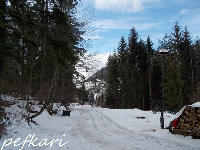 Slika