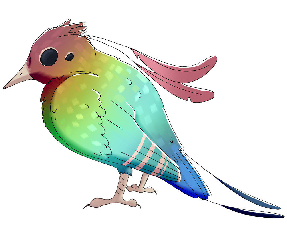 Birb