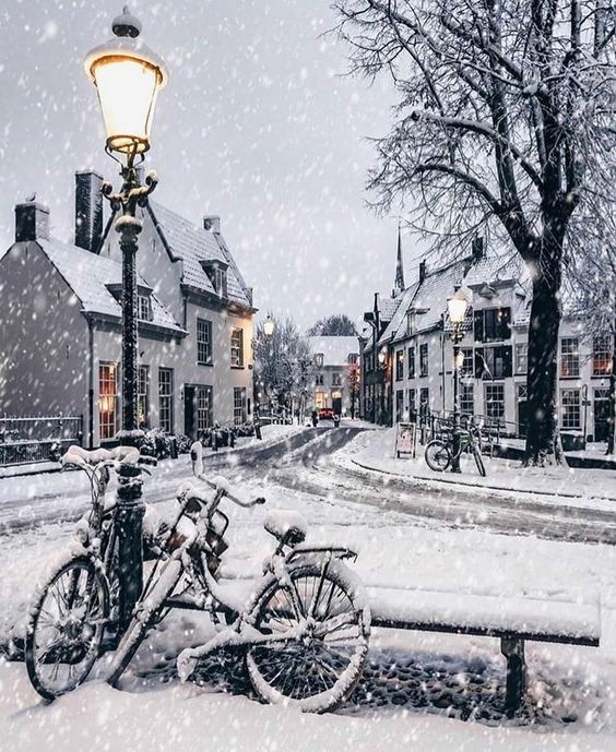 blacknwhitewinterscene.jpg