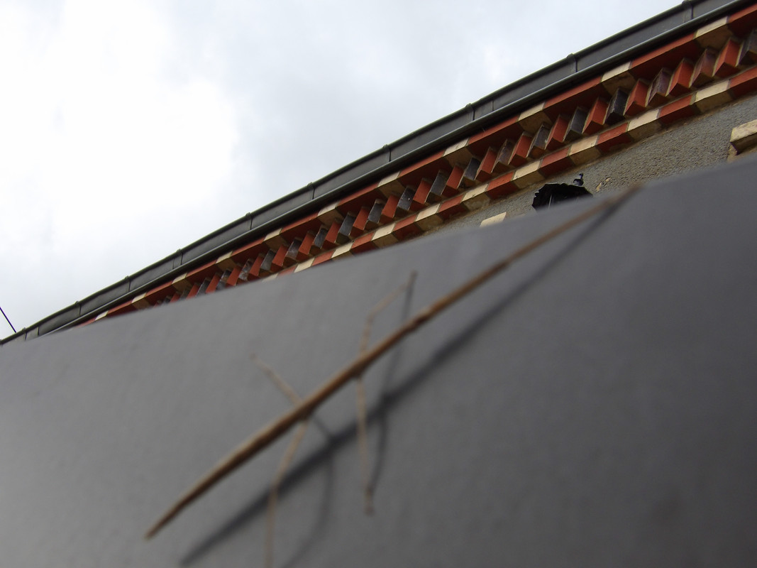 [Image: 125-0019.jpg]