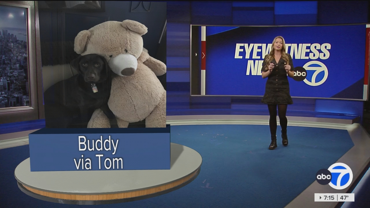 Eyewitness News Sunday Morning_20241110_11001300.ts_snapshot_01.15.47.423