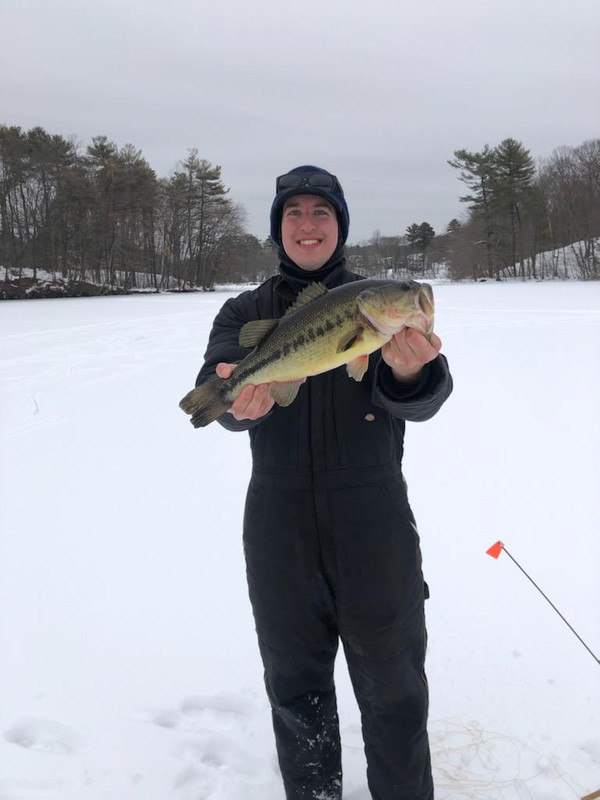 bass