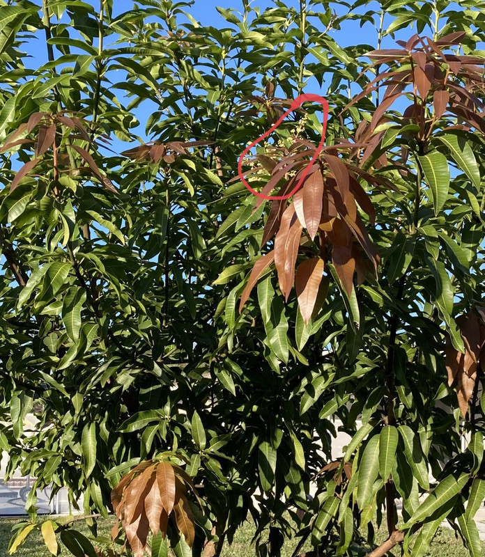 C4D32740-FE69-407D-A80E-880A83B30F09