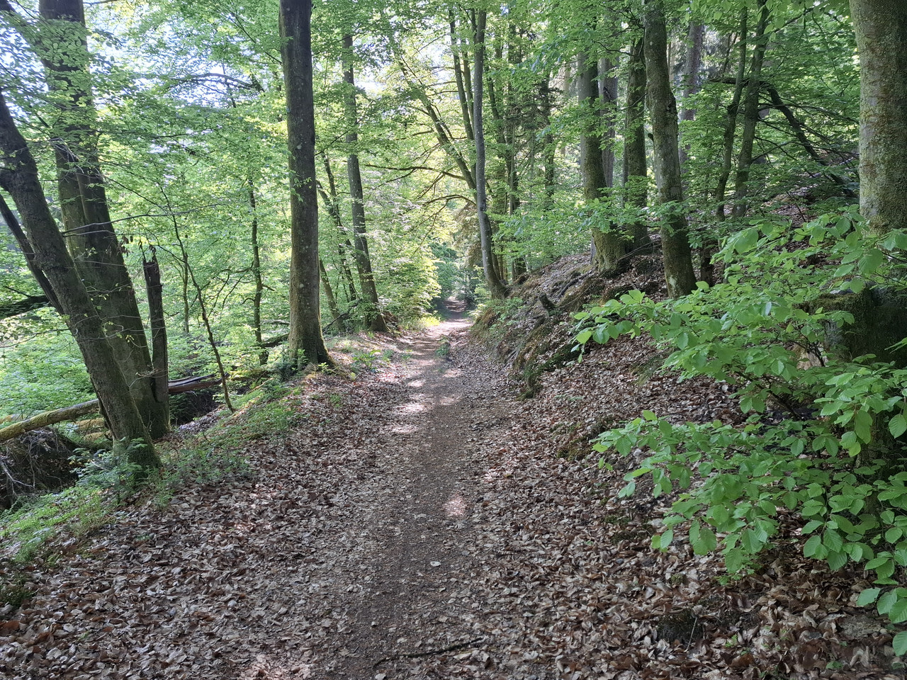 20260509-093717.jpg