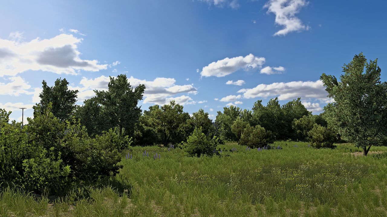 Zrzut ekranu (10178)