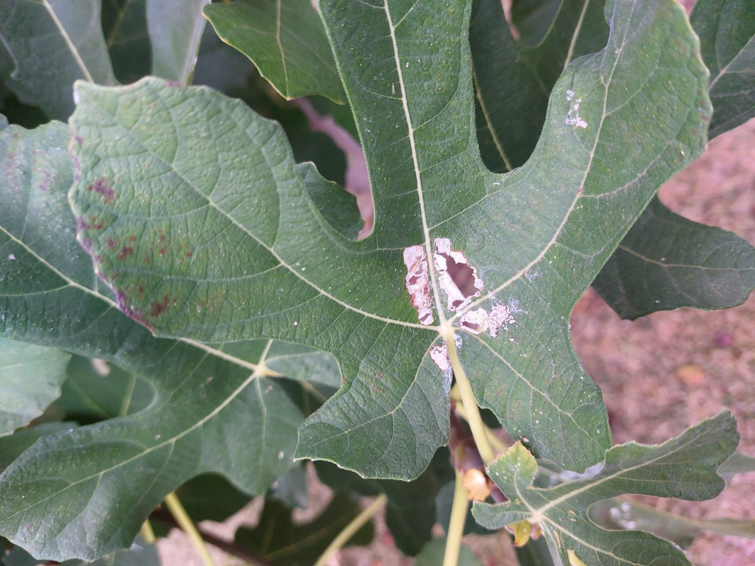 0-02-05-f2424357b4743da86d2e07af8472e68c611ed43b546f9c26bbbfd5c78edd6816_b490e538ab1e8b2a