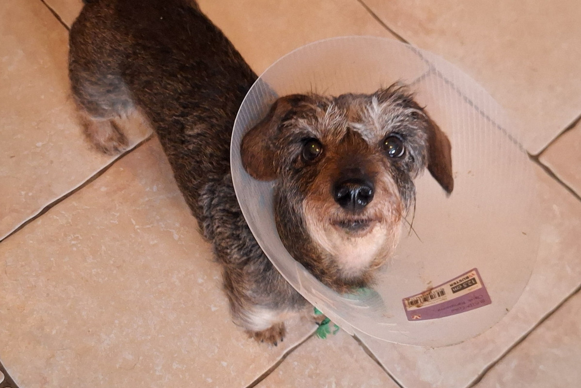 [Image: 20250309-110557.jpg]