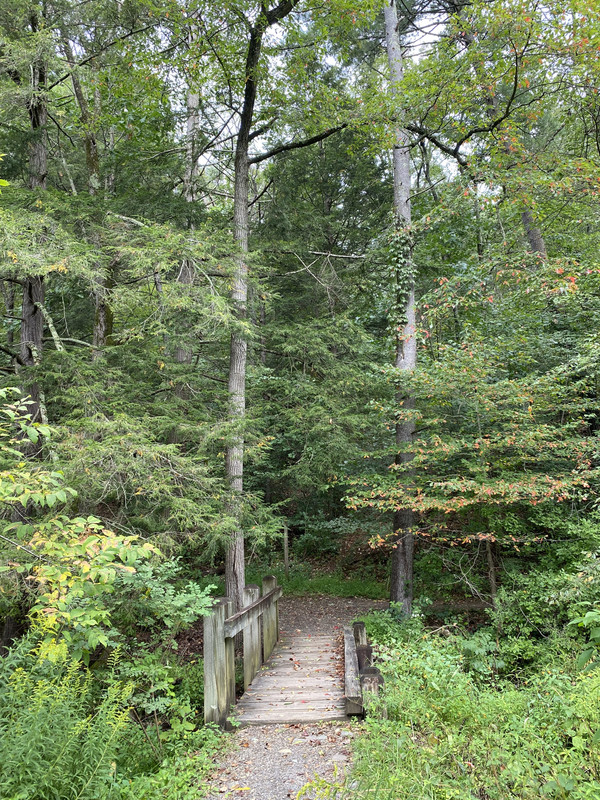 E9A6B30F-07B5-439D-9910-27FCEF9E9F18