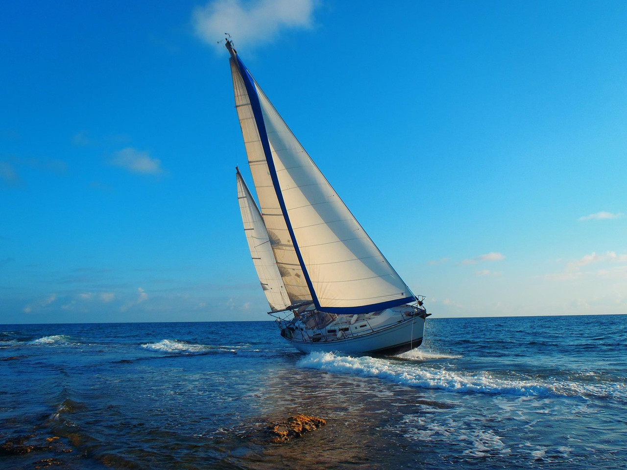 11357015 10153430931134744 7959153910535426625 o