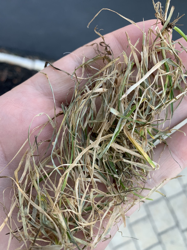 F33BBA49-5AA7-4F24-8261-43C2985ED892