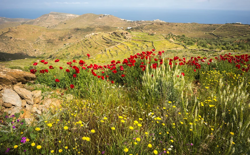 Εικόνα