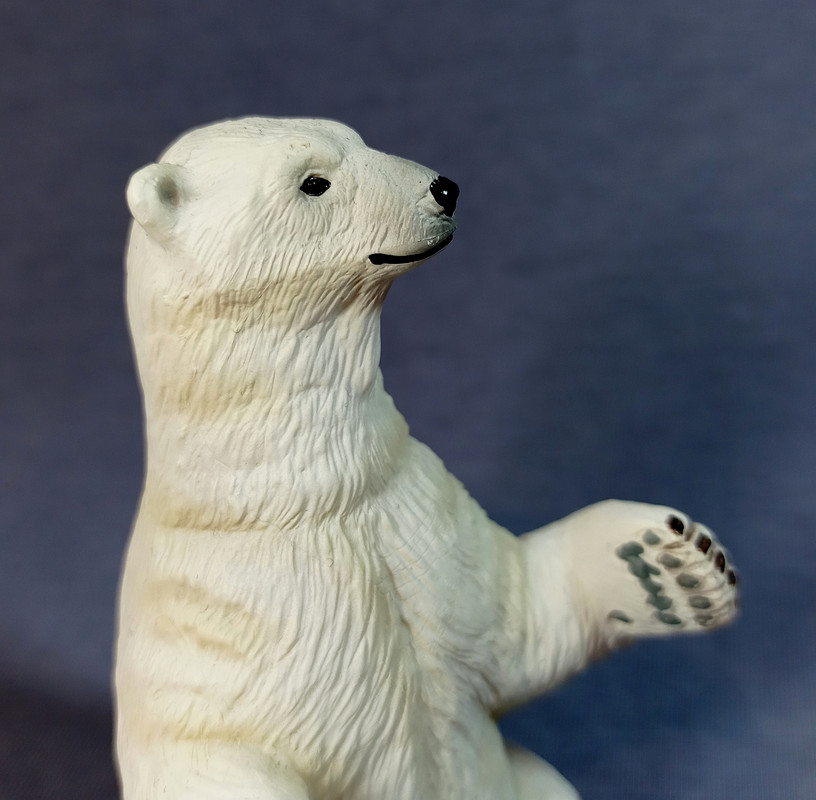 Eikoh - Animal Infinity - Polar bear IMG-20210306-081130