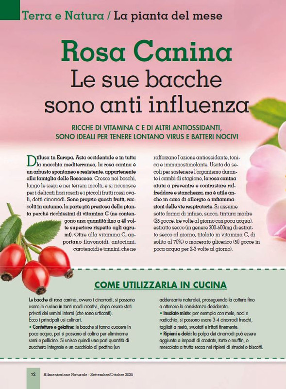 Alim Nat Set-Ott 2025 (9)