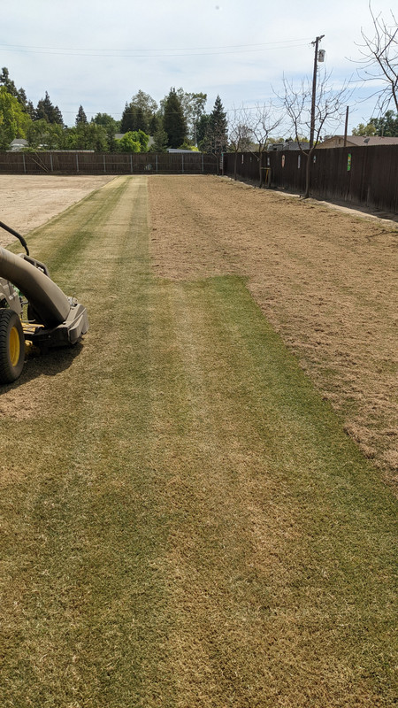 PXL_20220402_210425351