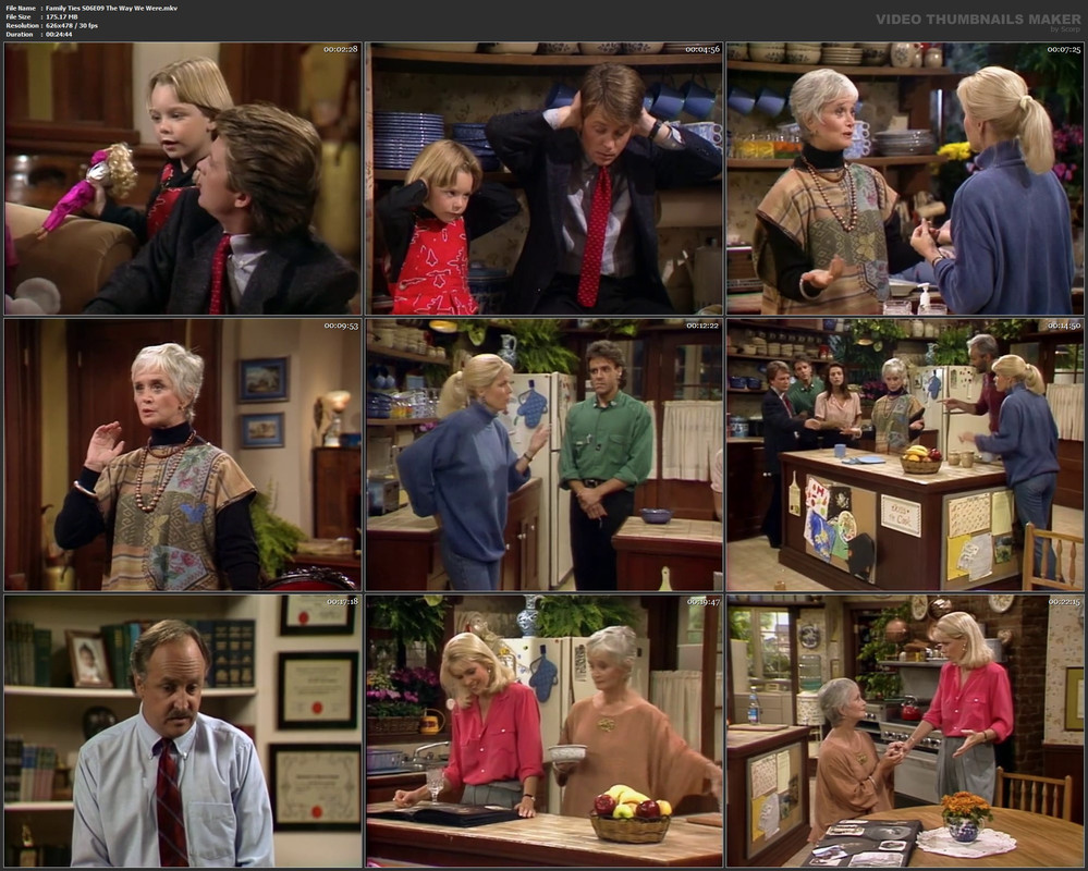 Family Ties S06E09 The Way We Were.mkv