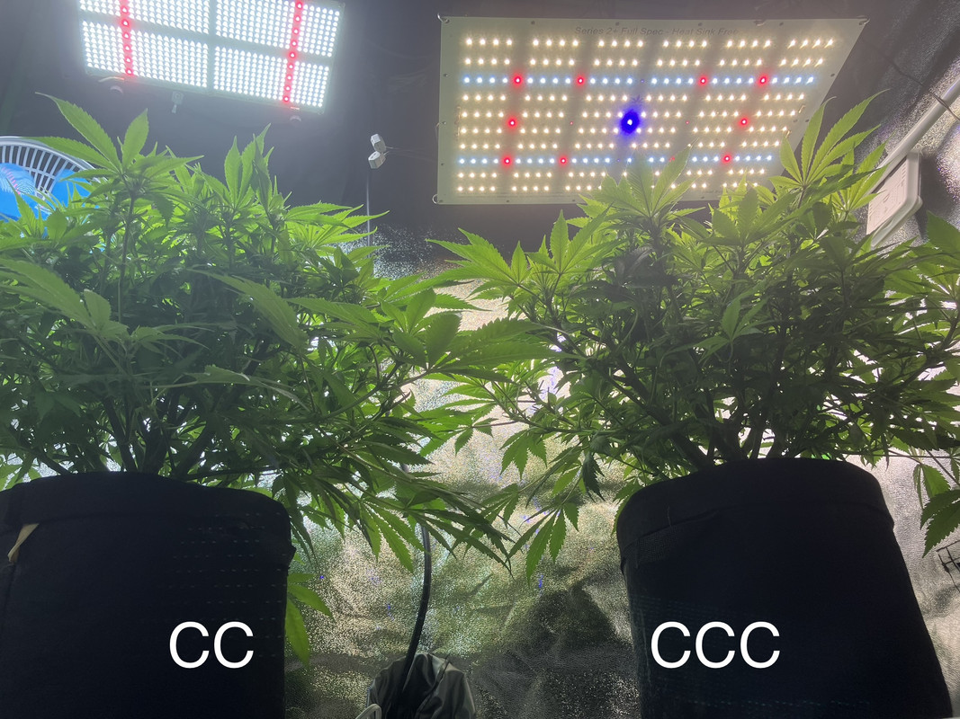 B5D1567A-F1DF-4D41-994B-C2A0465BCFFB