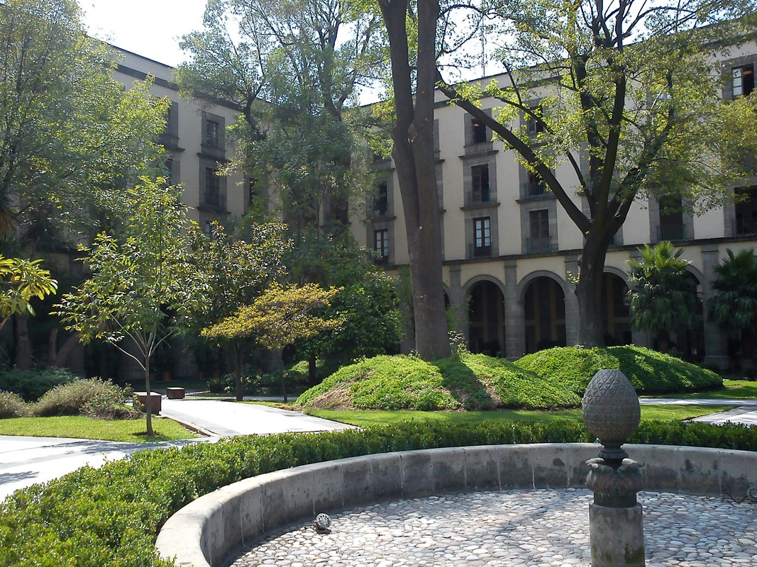 Gobierno busca quién acabe con la plaga de ratas de Palacio Nacional