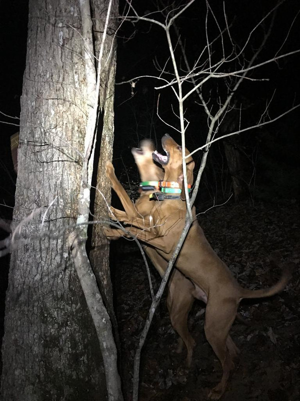 64FFEB45-9C9D-4542-A590-50F995EE3C25