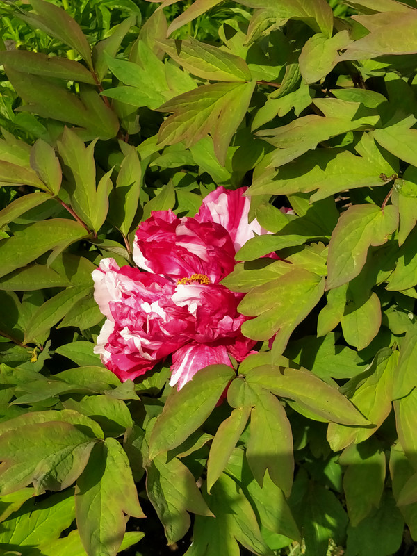 IMG20220422151749