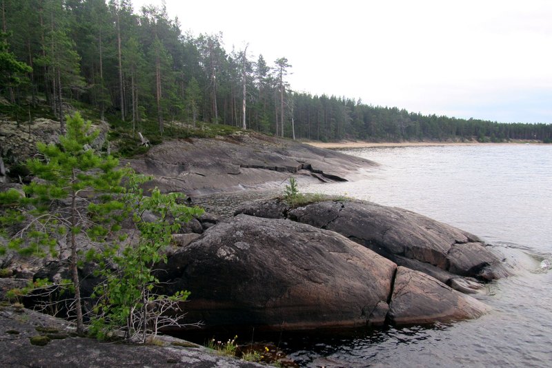 IMG-7291.jpg