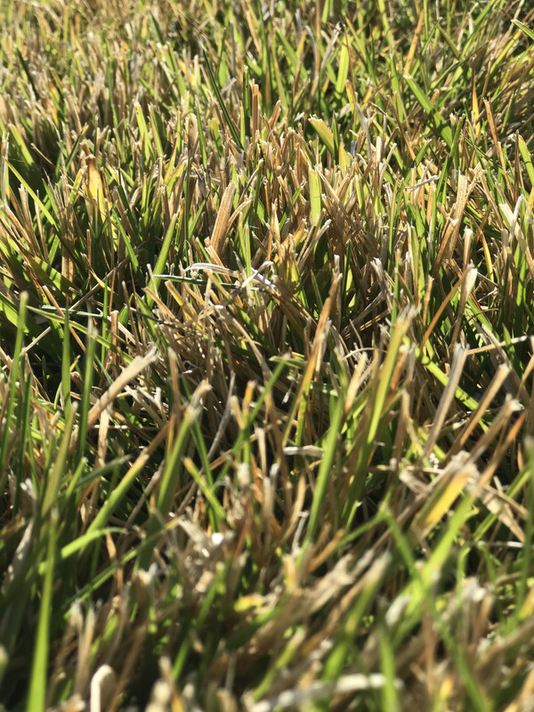 EA19026B-3E38-49E9-8BED-DA7346E99B2E