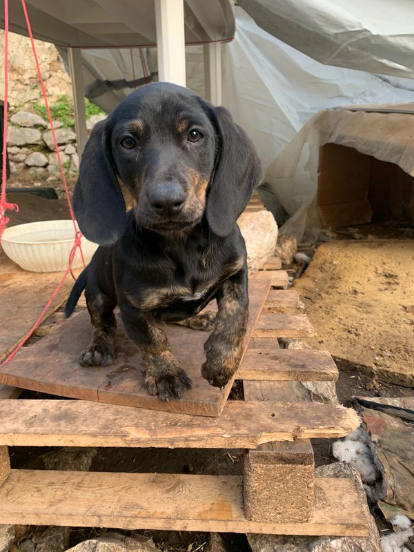 A09D315B-15AD-40E5-9863-5B1241FAC588