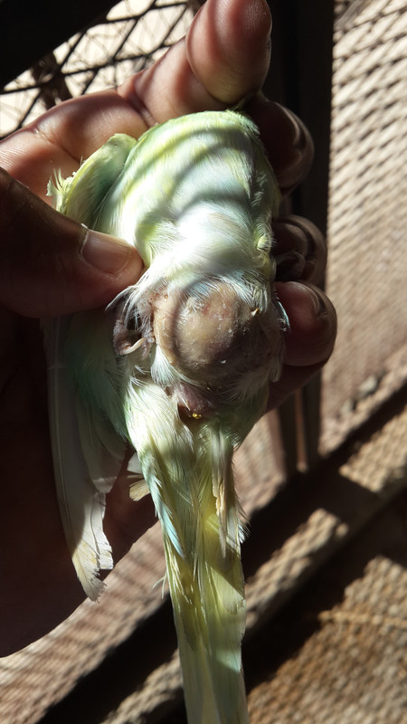 ٢٠١٩١٠٠٧_١٢٠٦١٣