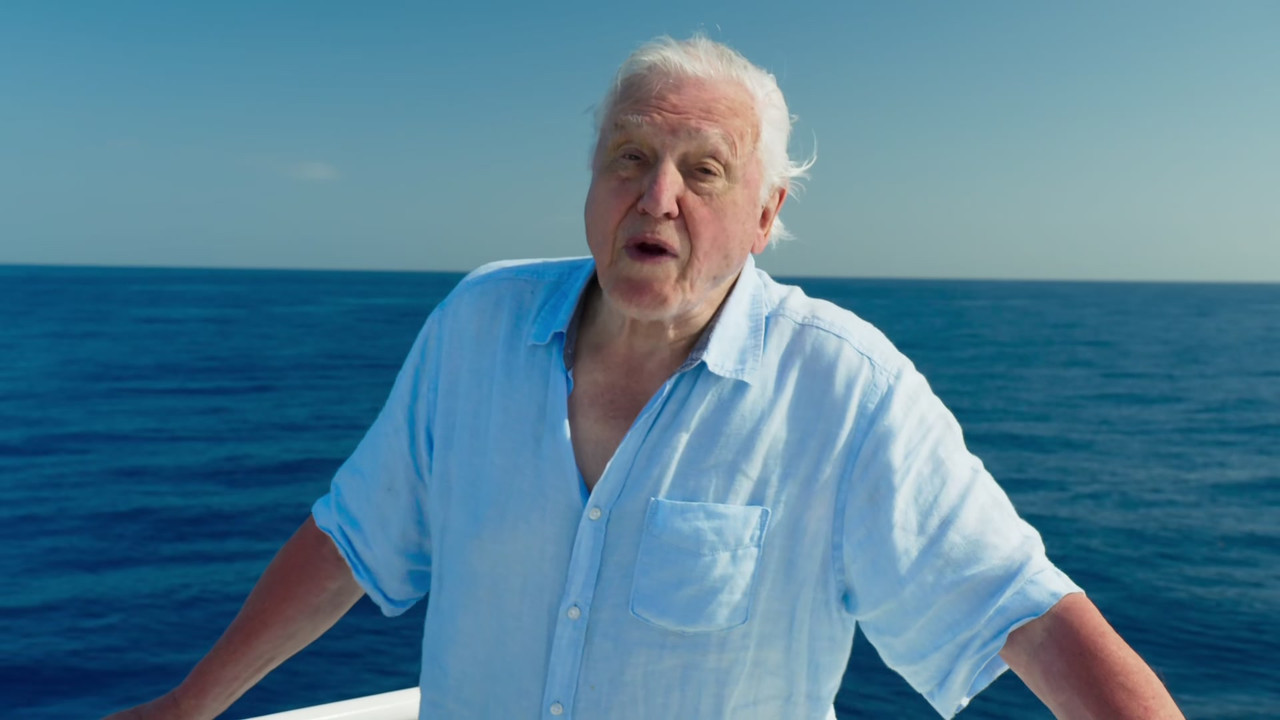 Blue Planet II (2017) - S01E01 - One Ocean (1080p BluRay x265 Im