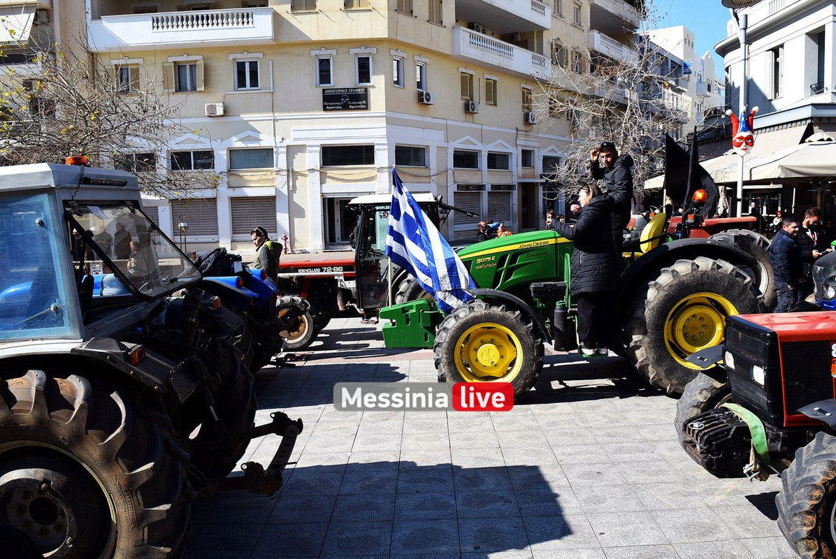 agrotes-DSC-0889