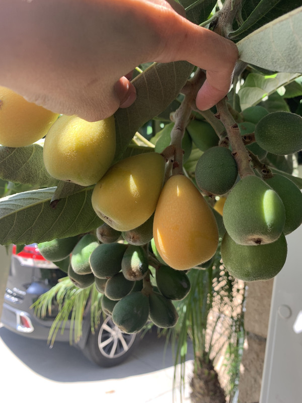 72AB8191-97A5-4D1E-981D-16FF82AC5CDF