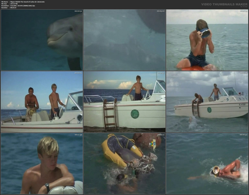 Flipper S02E04 The Sword of Carlos de Cabral.mkv