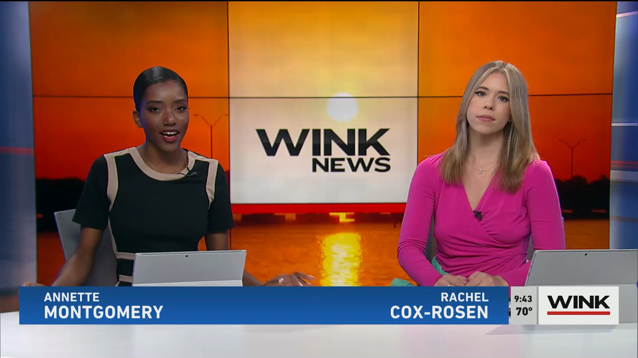 01.21 - 14.00.00 - WINK News at 9 00AM  ᴺᵉʷ. Morning news.ts_snapshot_00.45.15.370