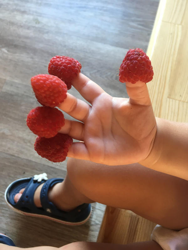 B2E4237A-AD74-4541-809B-CEE22C934941