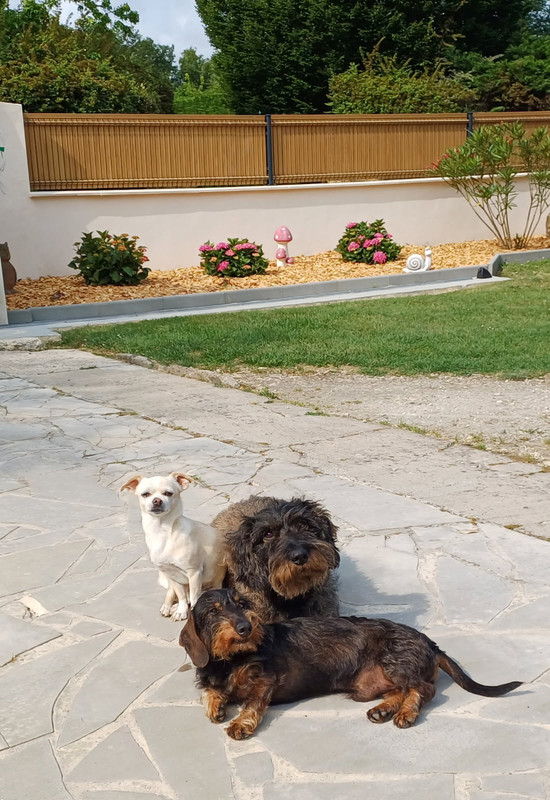 [Image: IMG-20250605-172205.jpg]