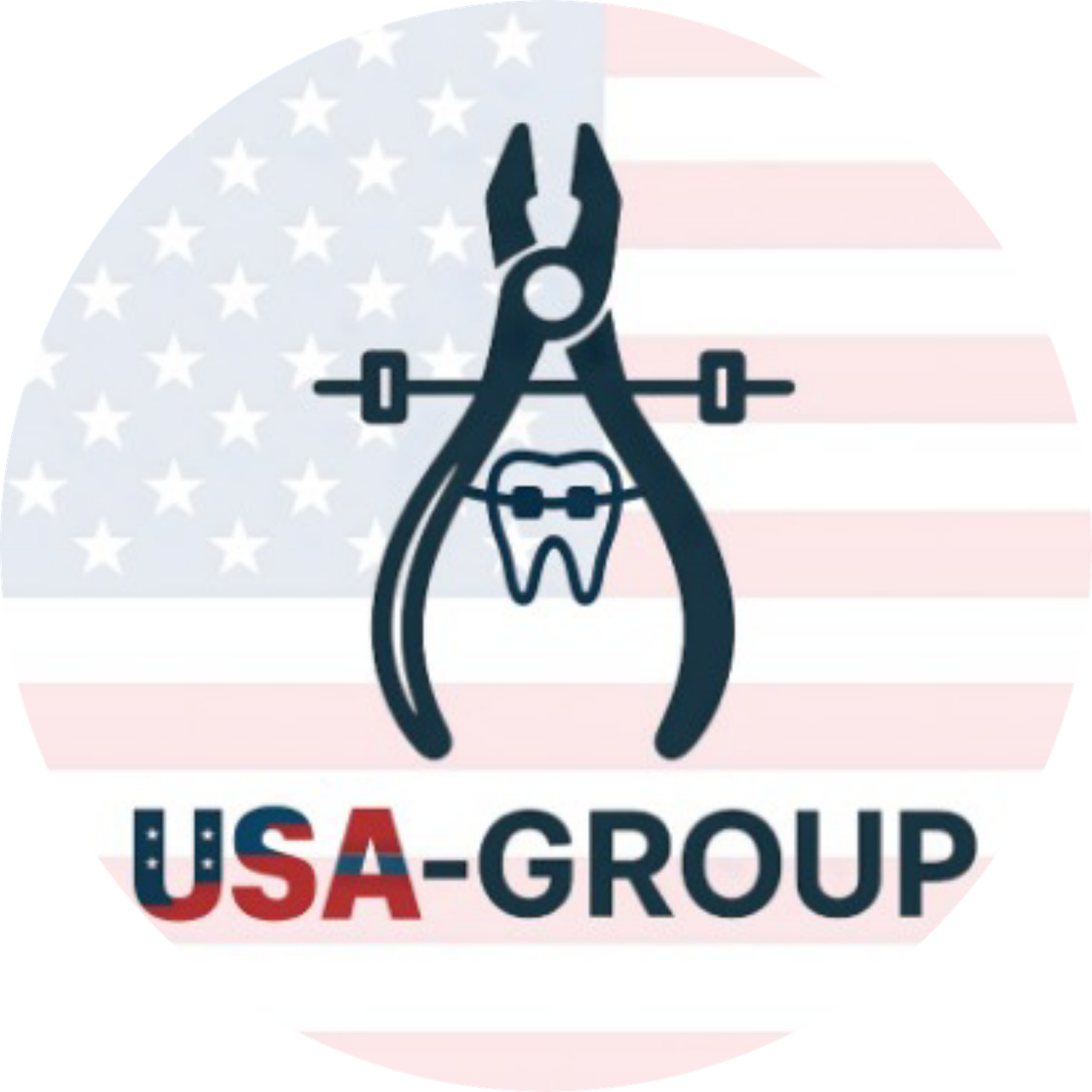 USA-GROUP Logo