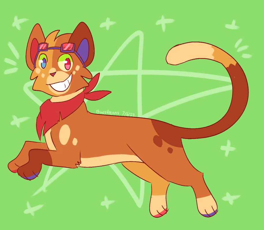 51679008_c3BpEGrzjwMkocM