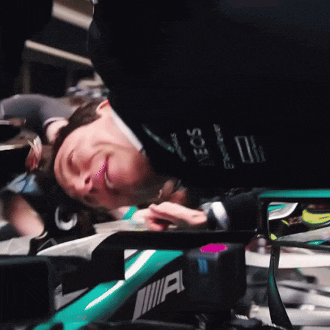 toto-wolff-wolff.gif