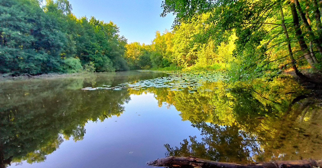 Lumii_20250810_182927419