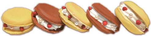Yellow and brown macaron divider