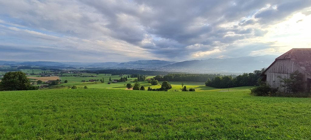 Suiza: 7 veranos, 7 planes con niños - Blogs de Suiza - DONAUESCHINGEN - TITISEE - FRIBURGO IM BRISGAU : 24 horas a lo alemán (14)