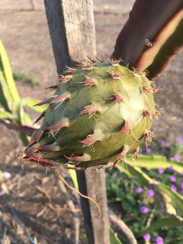 9E5A312C-65B4-4CE0-BFE4-7C5B49BA633B